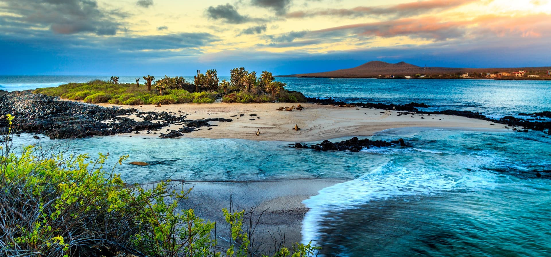 Le isole Galápagos