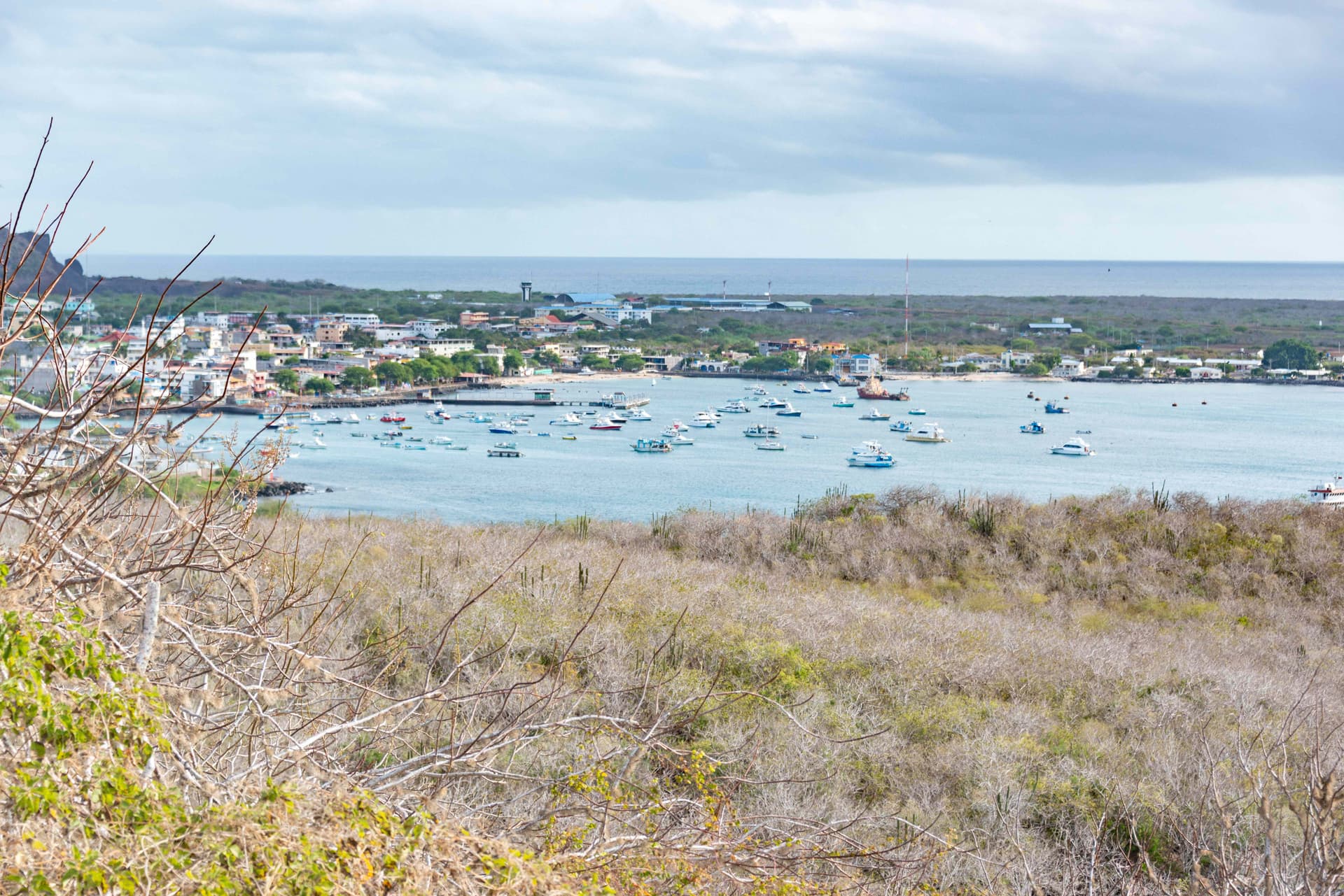Tortuga Bay