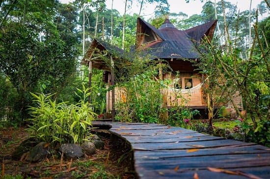 amazanga ecolodge native