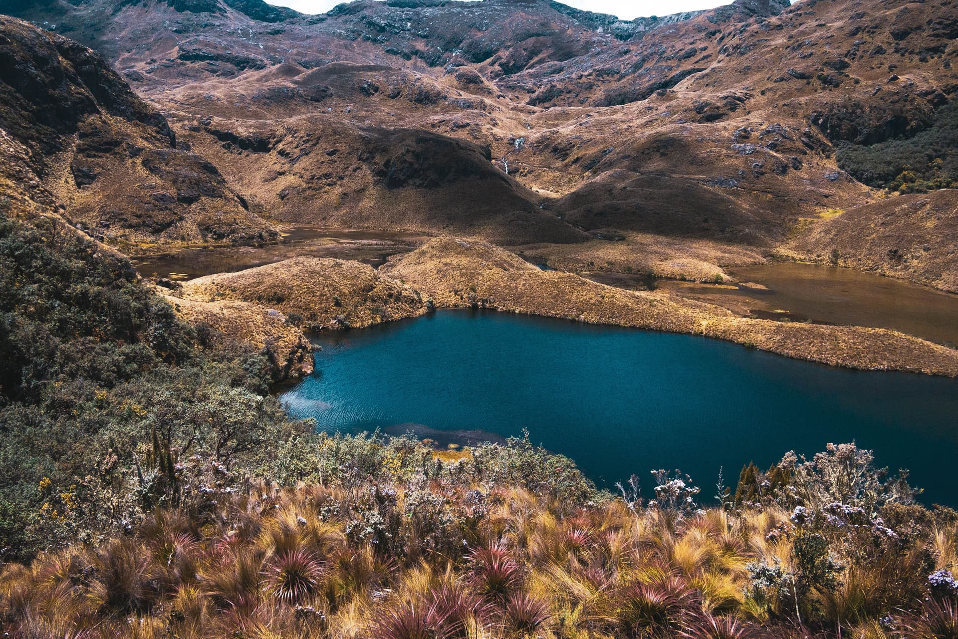 Riserva ecologica Cayambe-Coca