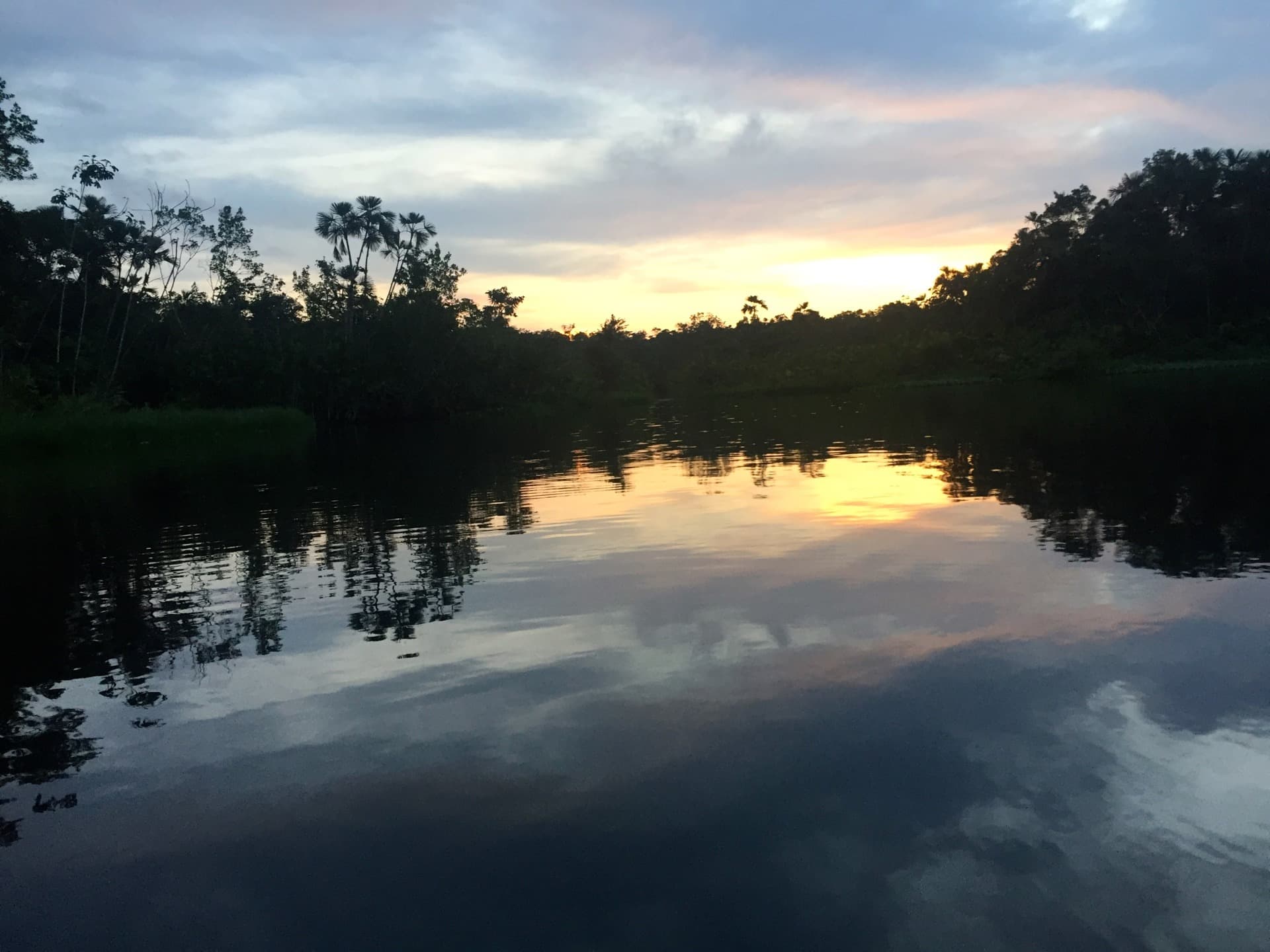 Parco Nazionale Yasuni in Amazzonia